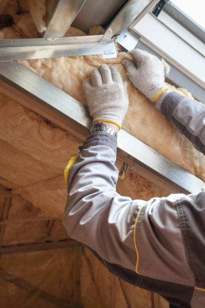Best Insulation Installation Services in Easton, MD